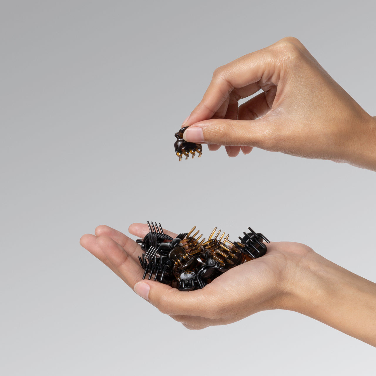 Black &amp; Tort Micro Cloud Clip Set