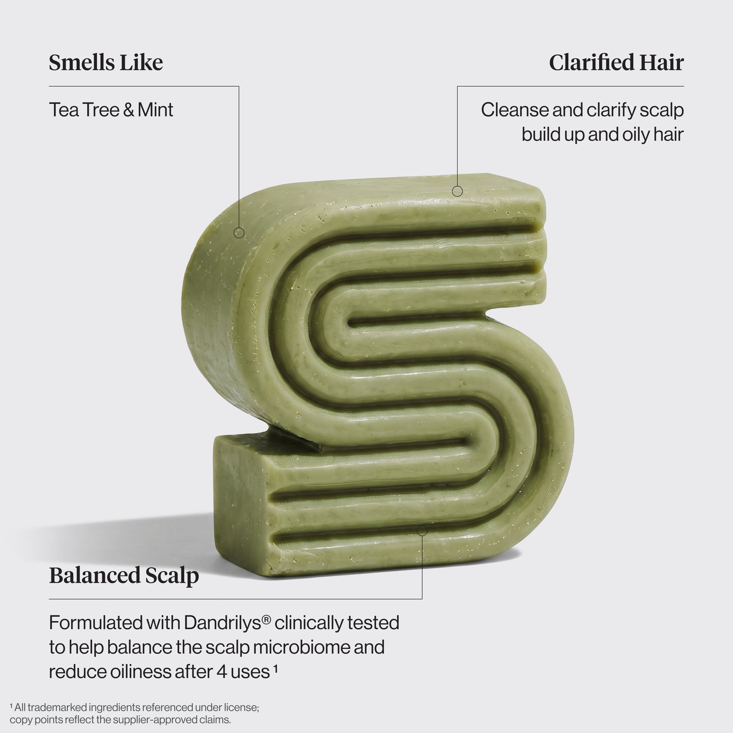 Tea Tree &amp; Mint Clarifying Shampoo &amp; Conditioner Bar Combo