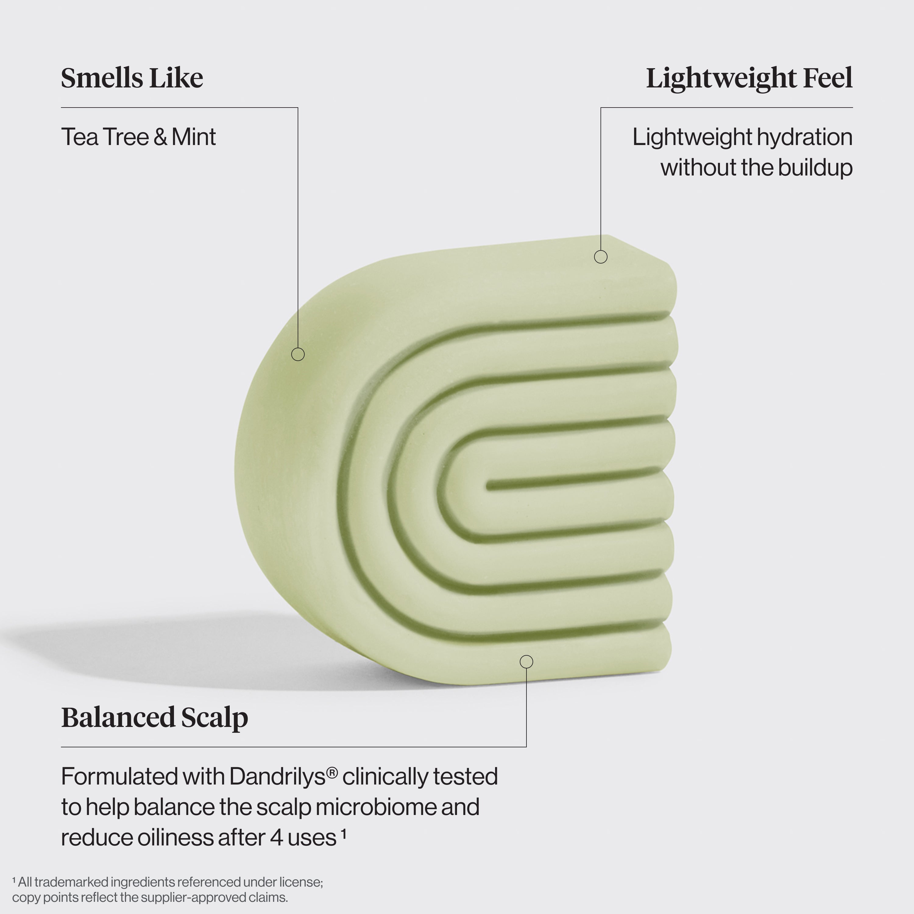 Tea Tree &amp; Mint Clarifying Shampoo &amp; Conditioner Bar Combo