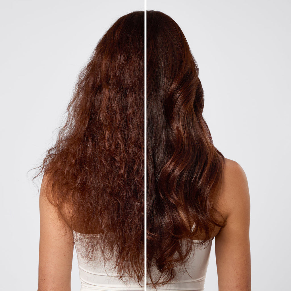 Repairing Argan Oil Shampoo &amp; Conditioner Bar Combo