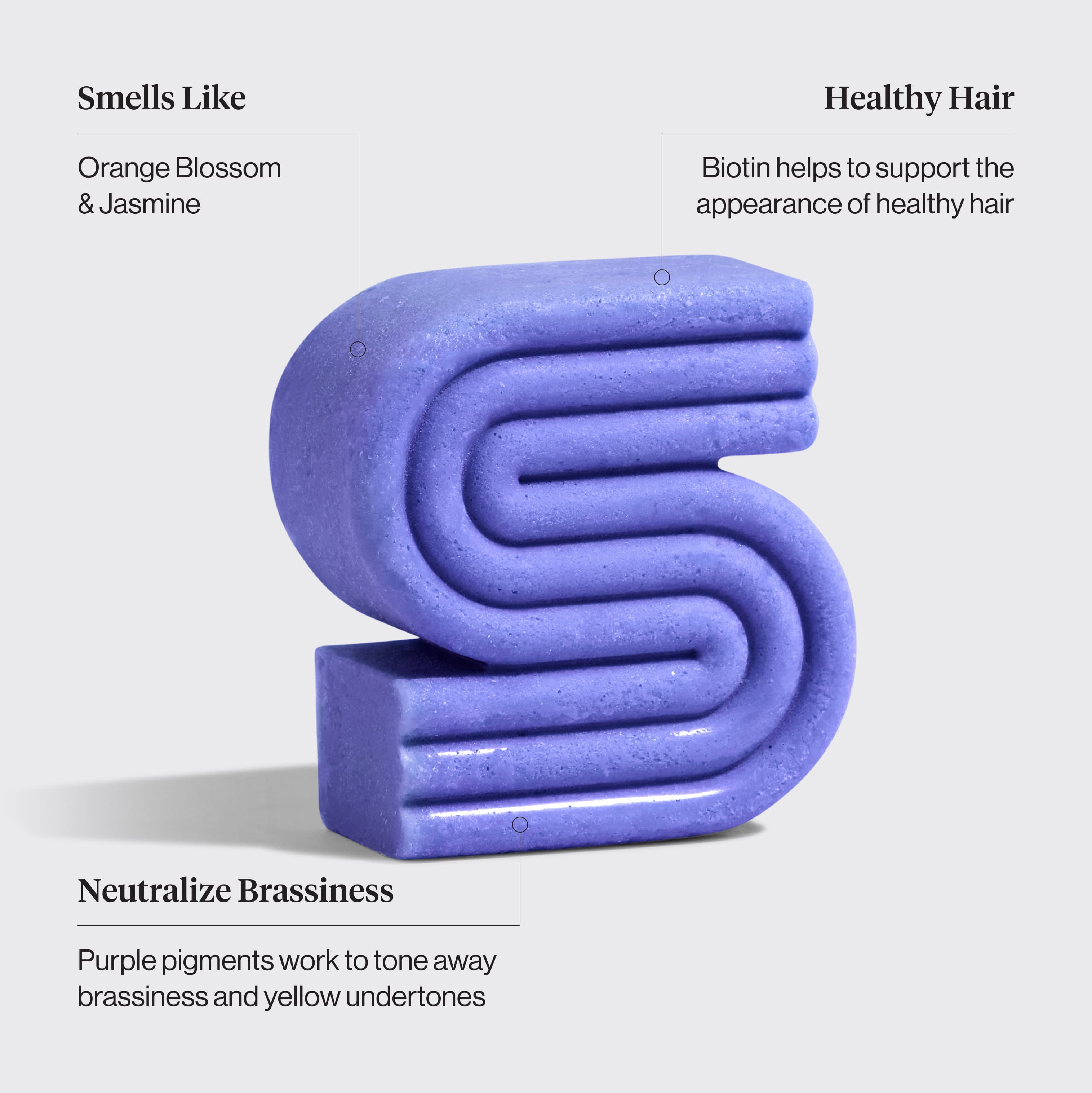 Purple Toning Shampoo &amp; Conditioner Bar Combo for Color-Treated &amp; Grey Hair