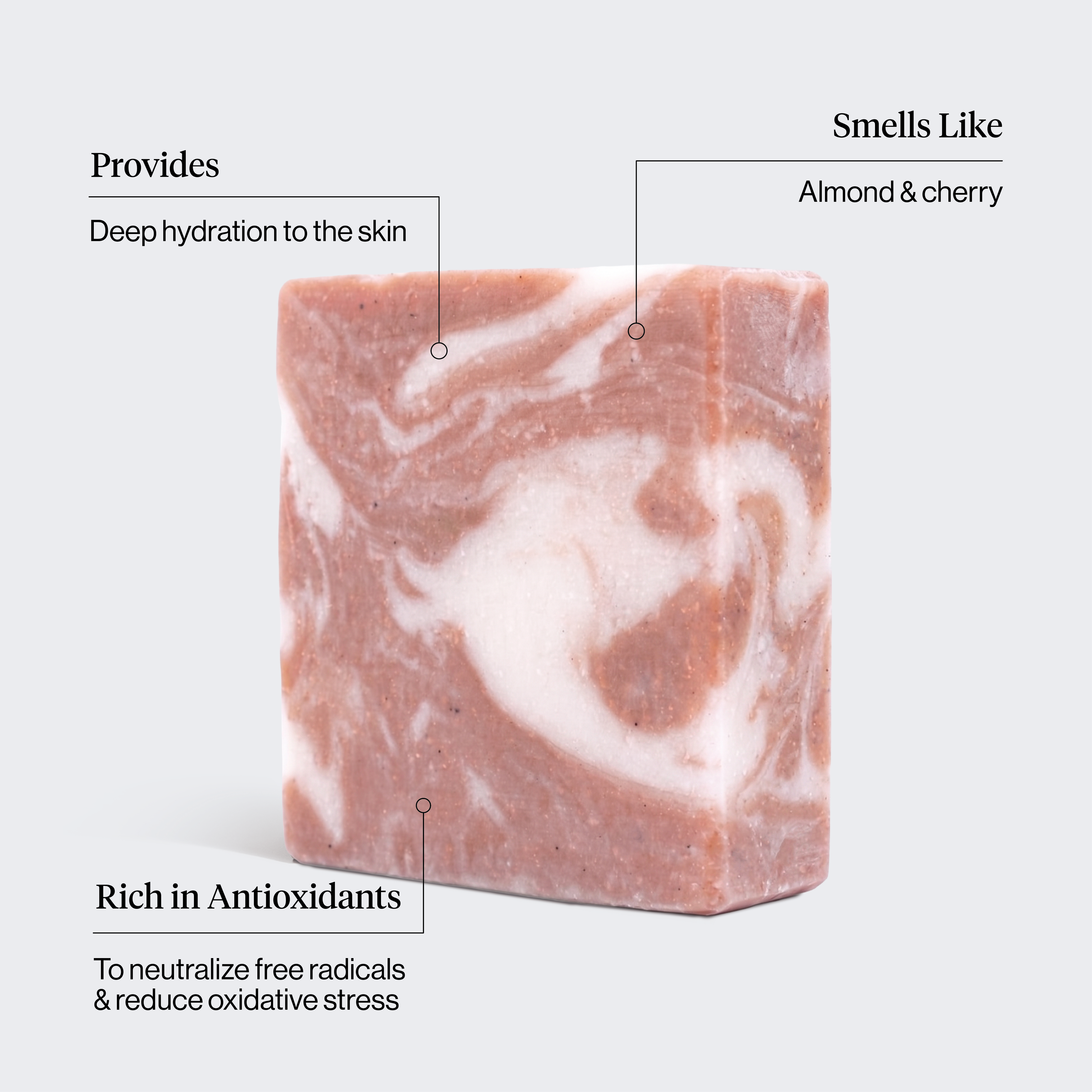 Shea Butter Exfoliating Body Wash